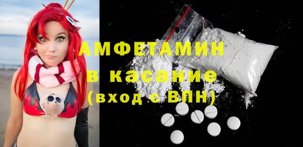 амф Горняк