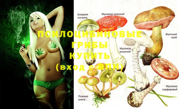амф Горняк