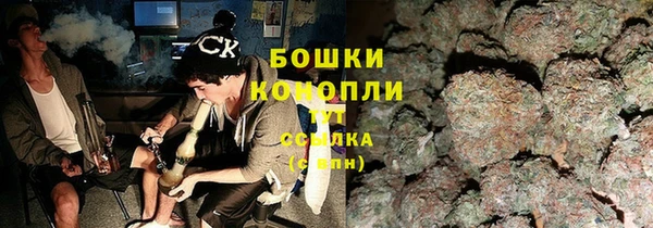 амф Горняк