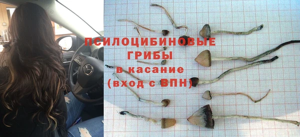 амф Горняк