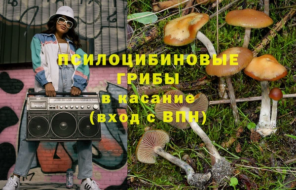 амф Горняк
