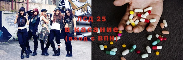 амф Горняк