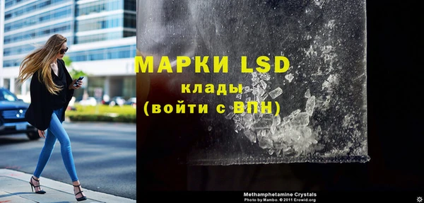 амф Горняк