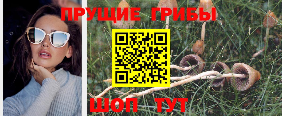 ГАШИШ  Канабис  АМФ   А ПВП СОЛЬ   Гусь-Хрустальный  Вейп ТГК  Меф кристаллы  Меф   ГАШИШ 