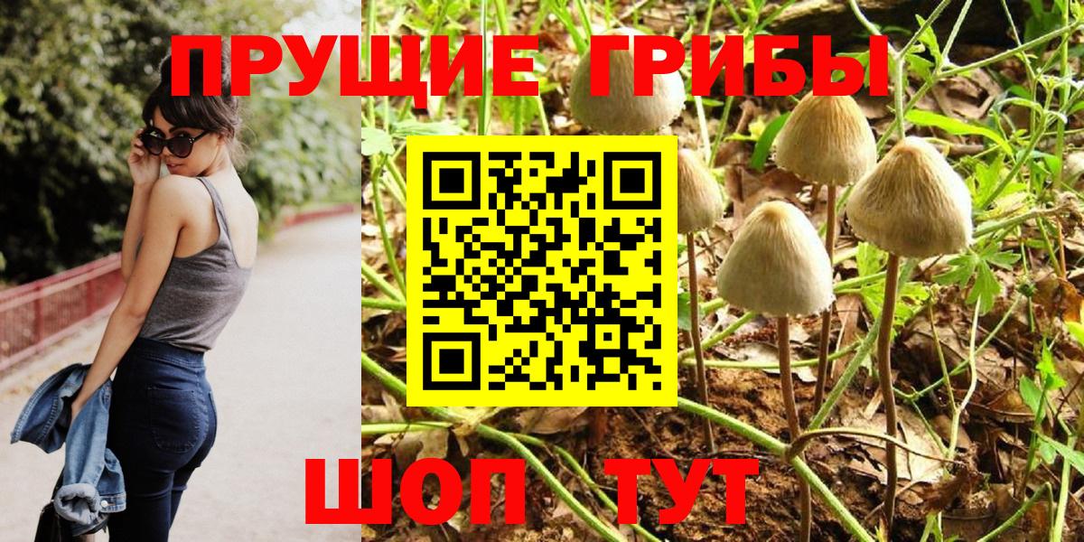 Псилоцибиновые грибы GOLDEN TEACHER Гусь-Хрустальный